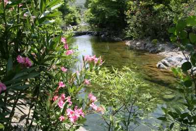 Edremit Turizm Danışma